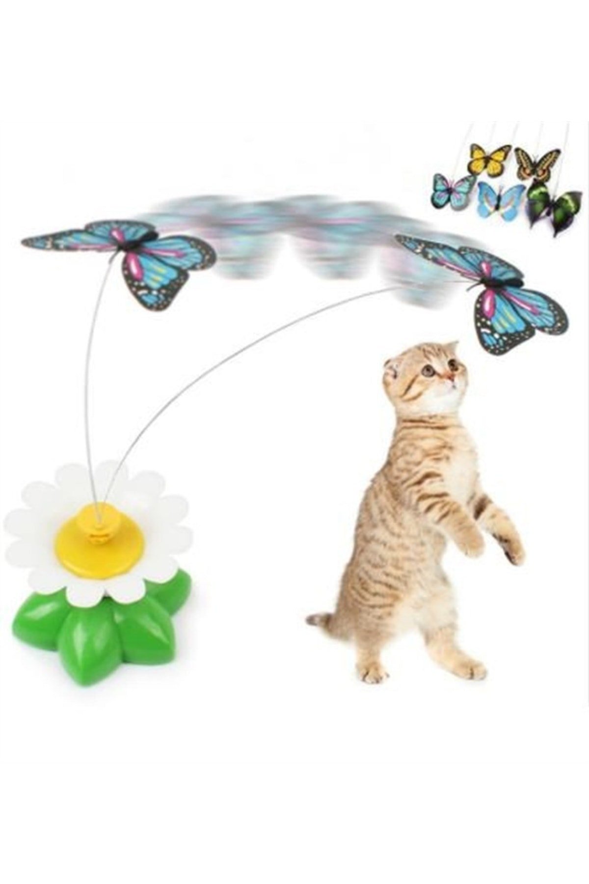 Hareketli Dönen Kelebek - Kedi Oyuncağı ( Pille Çalışır)