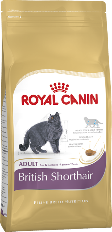 Royal Canin British Shorthair İçin Özel Yetişkin Kedi Maması 10 Kg