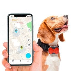 Akıllı GPRS Sistemi Köpek Takip Cihazı