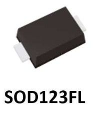 SS10100FL_R1_00001