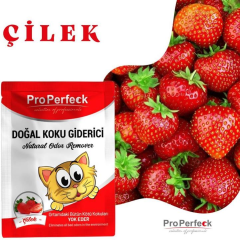 PROPERFECK KOKU GİDERİCİ ÇİLEK