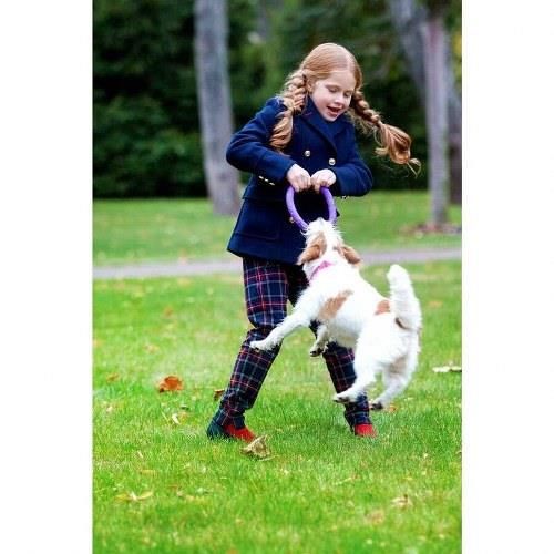 Puller Collar Köpek Eğitim Halkası Mini 18 cm