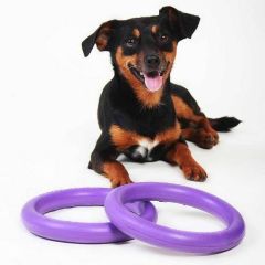 Puller Collar Köpek Eğitim Halkası Mini 18 cm