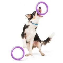Puller Collar Köpek Eğitim Halkası Midi 20 cm