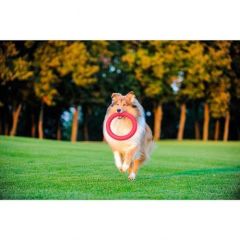 PitchDog Collar Plastik Halka Köpek Oyuncağı Pembe 20 Cm