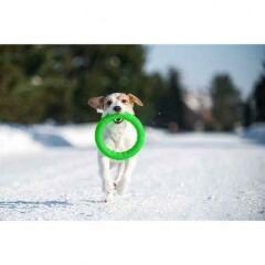 PitchDog Collar Plastik Halka Köpek Oyuncağı Limon Yeşili 28 Cm