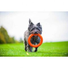 PitchDog Collar Plastik Halka Köpek Oyuncağı Turuncu 28 Cm