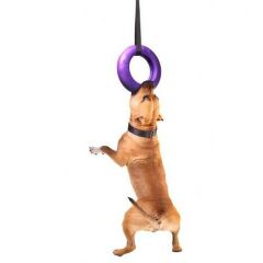 Puller Collar Köpek Eğitim Halkası Maxi 30 cm