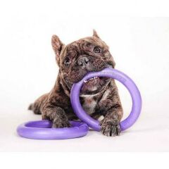 Puller Collar Köpek Eğitim Halkası 13 cm