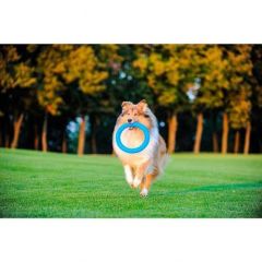 PitchDog Collar Plastik Halka Köpek Oyuncağı Mavi 20 Cm