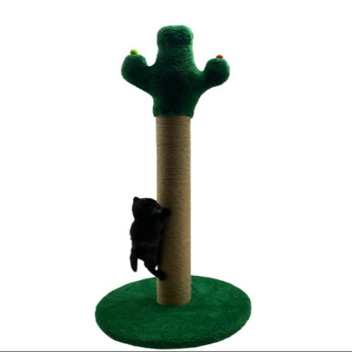 PET PRETTY KAKTÜS TIRMALAMA 50 CM