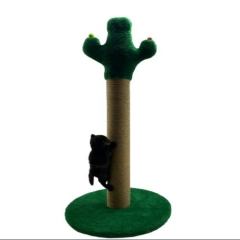 PET PRETTY KAKTÜS TIRMALAMA 50 CM