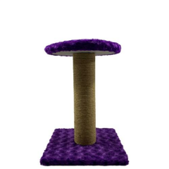 PET PRETTY OTURAKLI TIRMALAMA 70 CM MOR