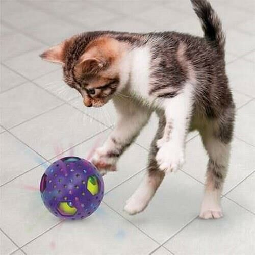 Kong Kedi Bat-A-Bout Kediotlu Işıklı ve Hareketli Kedi Oyun Topu