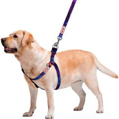 Waudog Collar Köpek Göğüs Tasması Nasa Desenli M, W 25, L 60-90 cm