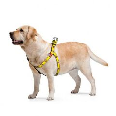 Waudog Collar QR Pasaportlu Köpek Göğüs Tasması Superman2 Desenli, W 10 mm, L 28-40 cm