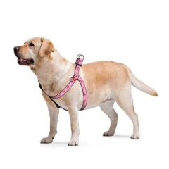 Waudog Collar QR Pasaportlu Köpek Göğüs Tasması Wonder Wooman1 Desenli, W 10 mm, L 28-40 cm
