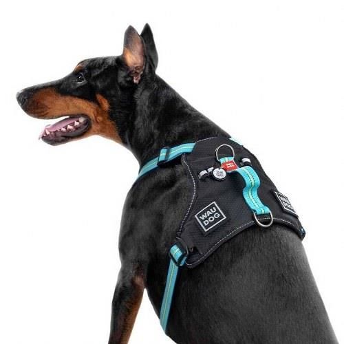 Waudog Collar Fosforlu ve QR Pasaportlu Köpek Göğüs Tasması, XL, Mavi 25mm