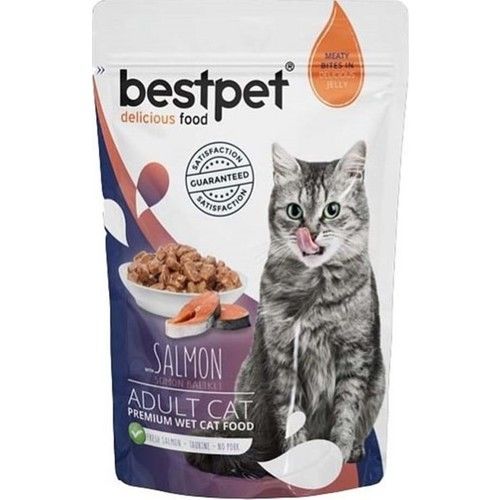 Bestpet Adult Jelly Pouch Somonlu Kedi Mama 85 gr