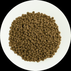 Pro choice Pro38 kitten kuzu etli yavru kedi 2 kg açık mama