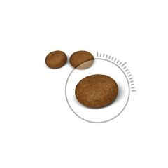 Royal Canin Hair Skin Hassas Tüylü Yetişkin Kedi Maması 2 KG
