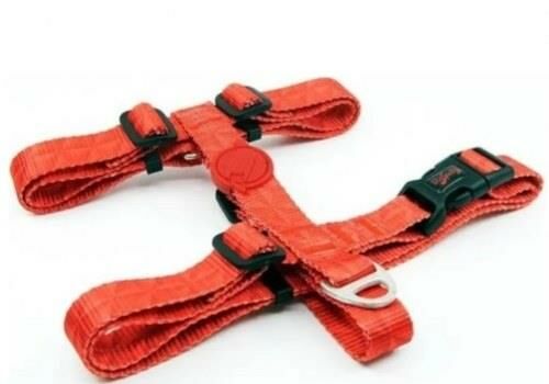 TAILPETZ PRISM H-HARNESS XS GÖĞÜS TASMASI