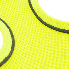 Tailpetz Air Mesh Köpek Göğüs Tasması Neon Yeşil Small