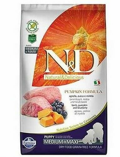 N&D Pumpkin Kuzu&Yaban Mersini Orta Büyük Irk Yavru Köpek 2,5 Kg