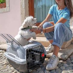 Ferplast Atlas Deluks 10 Kedi & Küçük Irk Köpek Taşıma Sepeti