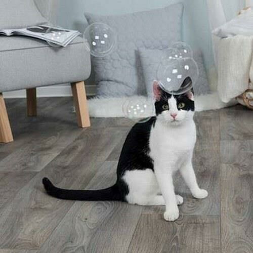Trixie Kedi Otlu Balonlar, 120 Ml