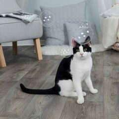 Trixie Kedi Otlu Balonlar, 120 Ml
