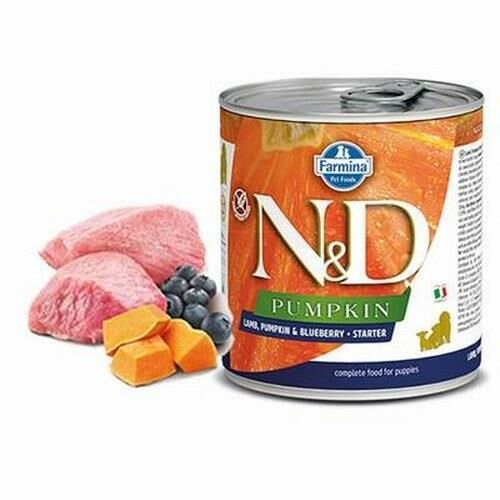 N&D Pumpkin Kuzulu Yaban Mersinli Starter Köpek Konservesi 285 Gr