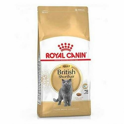 Royal Canin British Shorthair Yetişkin Kuru Kedi Maması 4 Kg