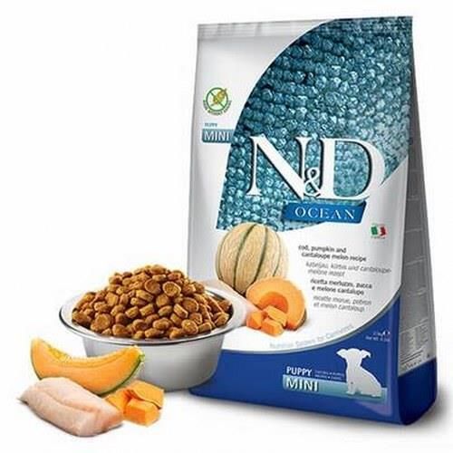 N&D Ocean Morina Balkabak ve Kavunlu Mini Yavru Köpek Maması 2,5 Kg