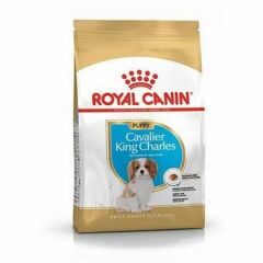 Royal Canin Cavaer King Charles Yavru Kuru Köpek Maması 1,5 Kg