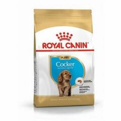 Royal Canin Cocker Yavru Kuru Köpek Maması 3 Kg