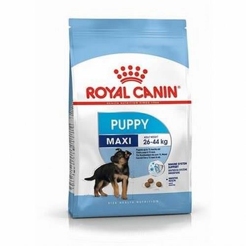 Royal Canin Maxi Puppy Büyük Irk Yavru Kuru Köpek Maması 10 Kg