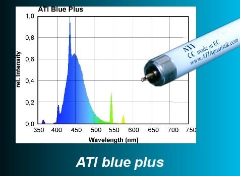 ATI - 54 W Blue Plus T5