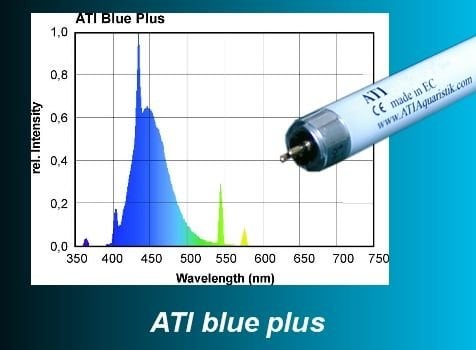 ATI - 24 W Blue Plus T5