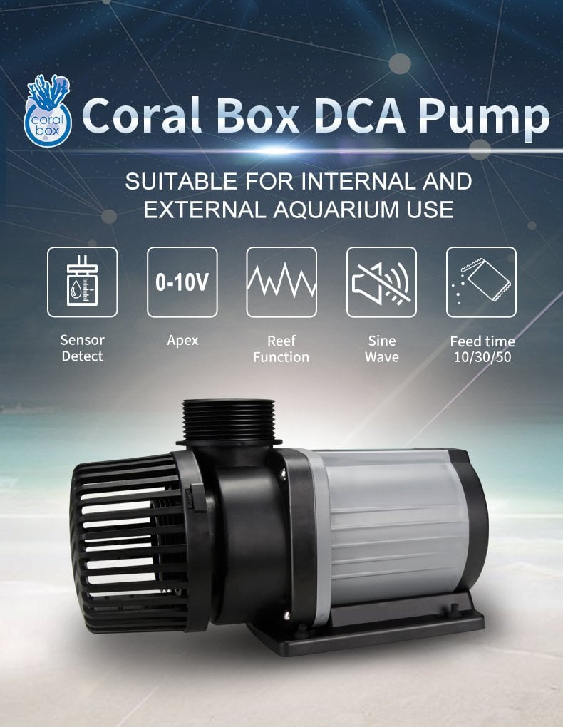 Coral Box - DCA 6000