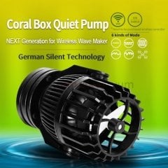 Coral Box - QPS 5