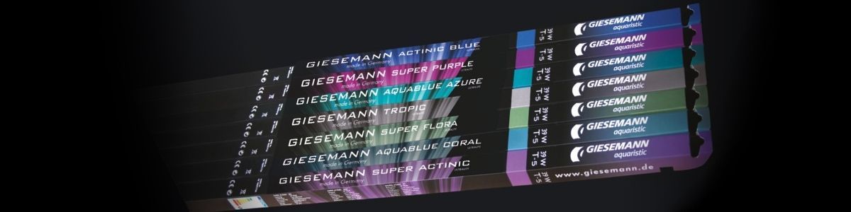 Giesemann - Powerchrome - 80 W Super Purple T5