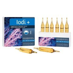 Prodibio - Iodi+ 6 pcs