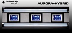 Giesemann - AURORA - 4 x 75 W LED / 4 x 80 W T5