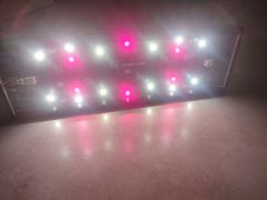EkstremTech - Urushi LED - F-Usion 105cm