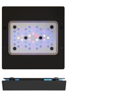 EcoTech Marine - Radion - XR15 G6 Blue