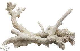 Fiji Kayası - Branch 1 kg