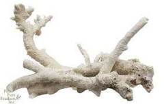 Fiji Kayası - Branch 1 kg