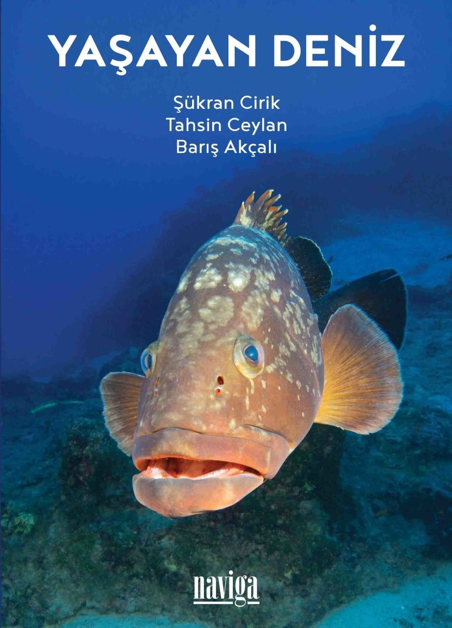 Yaşayan Deniz /