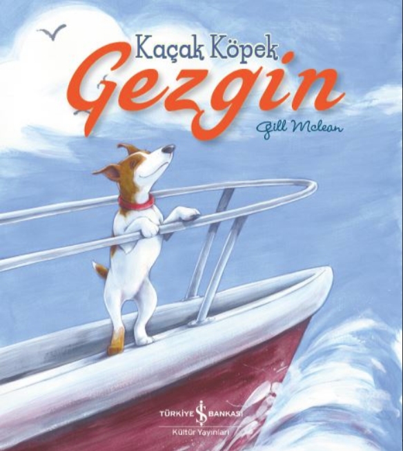 Kaçak Köpek Gezgin*